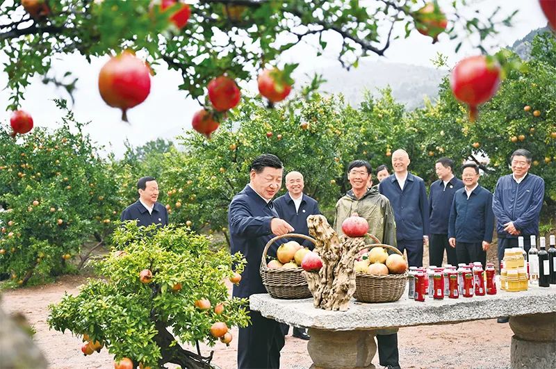 微信图片_20231019145857.jpg